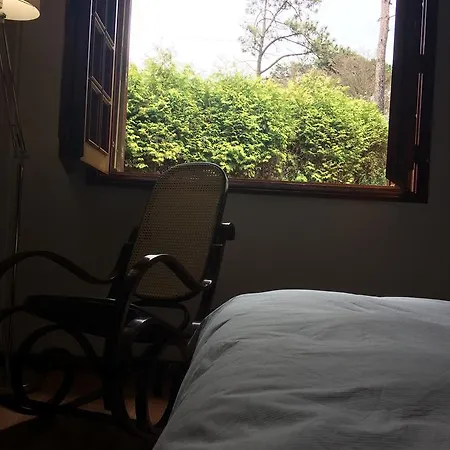 Casa Do Pinhal Bed and breakfast