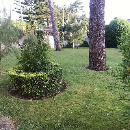 Casa Do Pinhal *